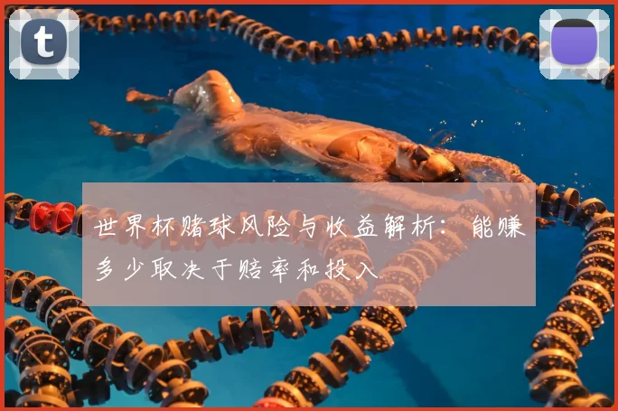 世界杯赌球风险与收益解析：能赚多少取决于赔率和投入