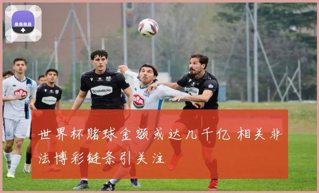 世界杯赌球金额或达几千亿 相关非法博彩链条引关注
