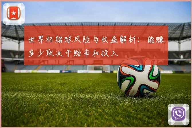 世界杯赌球风险与收益解析：能赚多少取决于赔率和投入